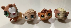 Lote LPS Littlest Pet Shop CONEJILLO DE INDIAS: #3299, #383, #1801, #157 - Imagen 1 de 4