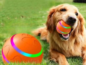 Dog Interactive Play LED Toy Ball Indoor Outdoor Training + Flea Tick Collar - Picture 1 of 8