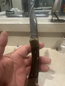 Buck 110Folding Hunting Knife W Shrath USA Made - Picture 1 of 8