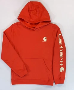 Boy's Girl's Youth Carharrt Long Sleeve Hooded Graphic Sweatshirt NEW - Picture 1 of 1