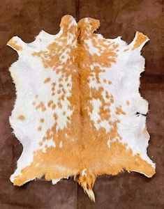Nordic Leather Goat Hide, Scandinavian Animal Skin, Icelandic Summer Fur Coat - Picture 1 of 9