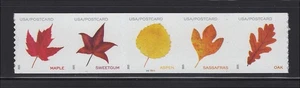 US Scott # 5971-5975 Vibrant Leaves Post Card Rate MNH Plate # Coil Strip 2025 - Picture 1 of 1