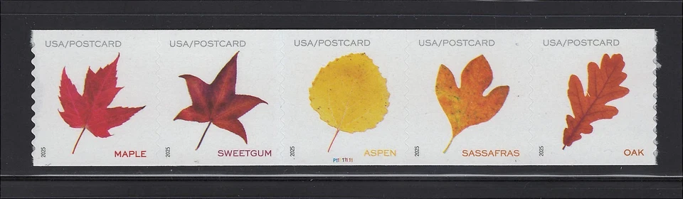 US Scott # 5971-5975 Vibrant Leaves Post Card Rate MNH Plate # Coil Strip 2025 - Image 1 of 1
