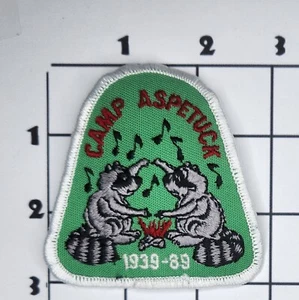 1989 Camp Aspetuck Patch Rocksbrook Girl Scouts GSUSA Embroidered Iron On - Picture 1 of 1