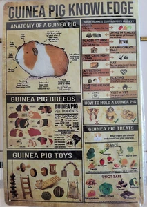 GUINEA PIG KNOWLEDGE 8 BY 12 METAL WALL DECOR ANIMAL DISPLAY POSTER - Picture 1 of 9