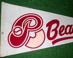 Oregon State Beavers Pennant Football 30" Excellent Condition - Picture 1 of 2