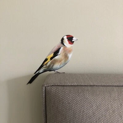 Charming Goldfinch Wall Sticker - Easy to Apply and Remove - Image 1 of 4