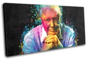 Colourful Icon David Attenburgh TV SINGLE CANVAS WALL ART Picture Print - Picture 1 of 1