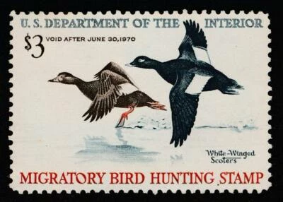 UNITED STATES (US) RW36 MINT LH F-VF - Image 1 of 2