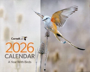 CORNELL LAB of ORNITHOLOGY 2026 16 MONTH WALL CALENDAR BIRDS NATURE OWL WARBLER - Picture 1 of 3