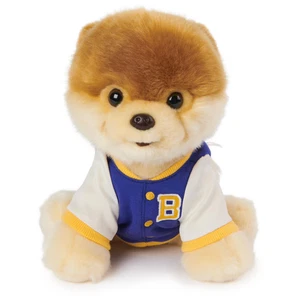 GUND Boo, der süßeste Hund der Welt: Pomeranian Plüsch in College-Jacke - Bild 1 von 6