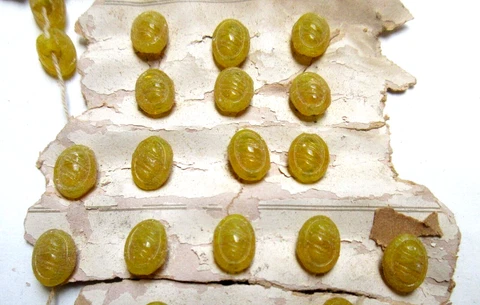 1 Doz Vintage Antique Yellow Glass Flower Buttons Glass Shank Cover