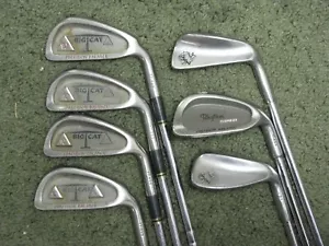 Cougar Big Cat Mismatched Irons 3-PW (No 8 Iron) Regular Flex Steel Very Nice!! - Picture 1 of 7