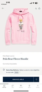 Polo Ralph Lauren Men's Classic Fit Polo Bear Hoodie Size XL Pink - Picture 1 of 8