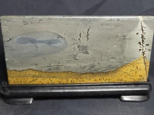 Chinese Picture Jasper Polished slab with stand 4.75"x2.5"x.25" (5 oz.) C0 - Picture 1 of 3