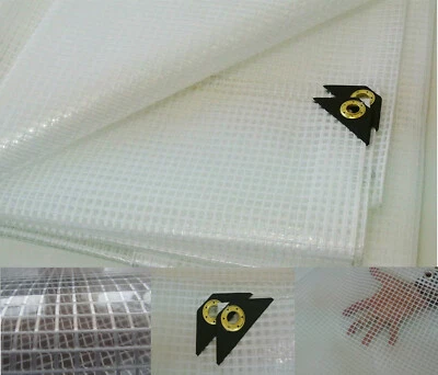 Lona transparente 20 X 20 16 mil lona transparente para invernadero, reforzada con fibra resistente a los rayos UV Foto 1 de 2