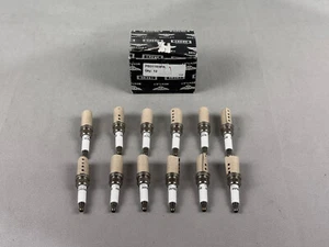 NEW! 2010-2018 BENTLEY CONTINENTAL W12 SPARK PLUG SET OF 12 OEM PB31103PA - Picture 1 of 6