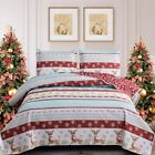 Hailea Christmas Quilt Set Queen Size Lightweight Stripe Bedspread Bedding Se...