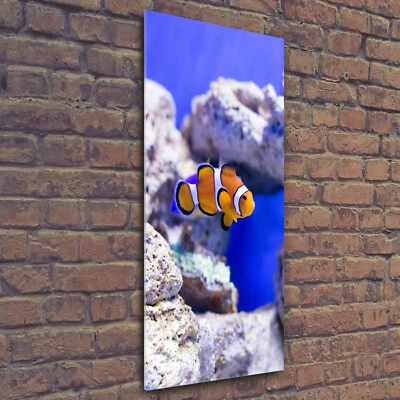 Wandbild Kunst-Druck auf Hart-Glas hochkant 50x125 Nemo Fisch - Bild 1 von 4