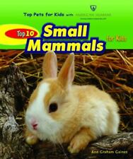 Top 10 Small Mammals for Kids (Top Pets for Kids With American Humane)