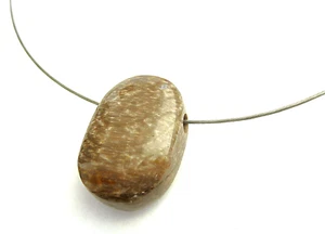 Versteinertes Holz Palme Anhänger und 45 cm Halsreif Stahl mit Magnetverschluss - Bild 1 von 4