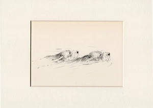 OTTERHOUND 2 DOGS SWIMMING 1930'S DOG SKETCH PRINT by KF BARKER READY MOUNTED - Picture 1 of 1