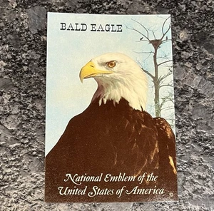 Vintage Postkarte - Weißkopfseeadler National Emblem der Vereinigten Staaten von Amerika - Bild 1 von 2