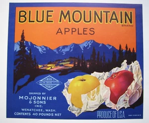 Original BLUE MOUNTAIN apple crate label Mojonnier & Sons Wenatchee WA 40 lbs. - Picture 1 of 1