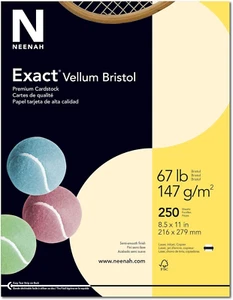 Exact Vellum Bristol Cardstock, 8.5" X 11", 67 Lb/147 GSM, Ivory, 25 Sheets (813 - Picture 1 of 12
