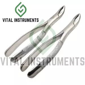 2 piezas fórceps de extracción dental #101 premolares superiores e inferiores instrumento quirúrgico - Imagen 1 de 1