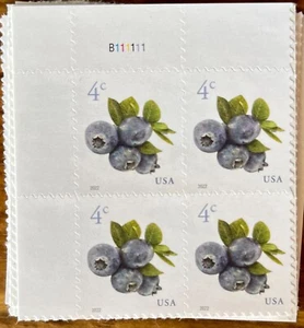 SCOTT #5652 "Blueberries" 4 CENT MNH 2022 PLATE BLOCK OF 4 MNH - Picture 1 of 1