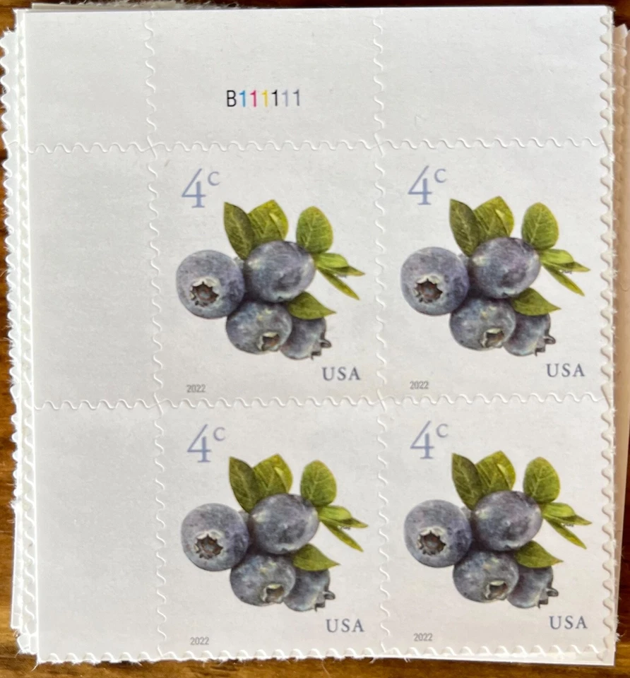SCOTT #5652 "Blueberries" 4 CENT MNH 2022 PLATE BLOCK OF 4 MNH - Image 1 of 1