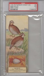 1924 Patterson Candy Co. Bird Cards V75 #3 Bob White Graded PSA 3
