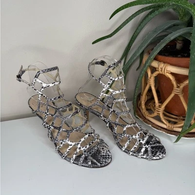 "Sandalias Vince Camuto piel de serpiente gladiador con tiras tacón de gatito de 2,5"" talla 7,5 M" Foto 1 de 4