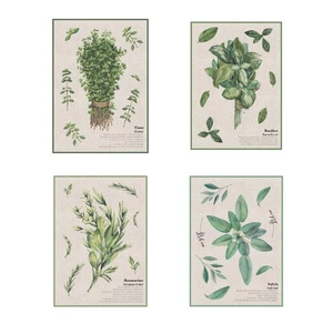 AROMI Kitchen Tea Towel - Cotton Tea Towel - 4 Variants - Picture 1 of 5