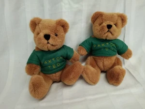Juego de 2 osos de peluche Mary Meyer Paxton Ted de piel marrón verde 22 cm de alto - Imagen 1 de 8