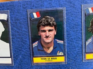 PANINI FIGURINA FOOTBALL SUPERSTARS 1984  FRANCE  ROUX - Imagen 1 de 2