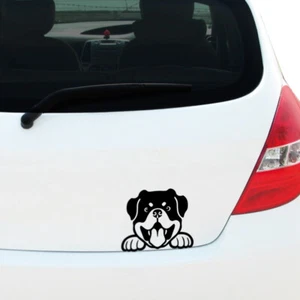 Peeking ROTTWEILER Aufkleber Sticker Auto Fenster Stoßstange Haustier Hund Welpe Rettung - Bild 1 von 39