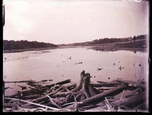 ONE (1) LATE 1800s or EARLY 1900s GLASS NEGATIVE,  LAKE OR RIVER WITH DRIFTWOOD - Picture 1 of 2