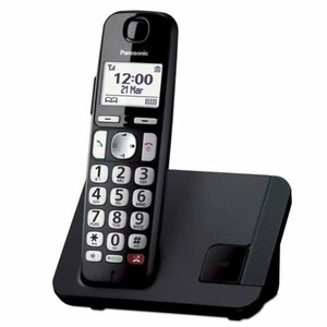Teléfono Inalámbrico Panasonic KX-TGE250SPB - Imagen 1 de 4