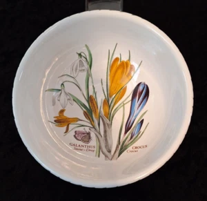 Portmeirion Botanic Garden 1972 - Reis-/Müslischale Schale - Krokus & Schneeglöckchen - Bild 1 von 13