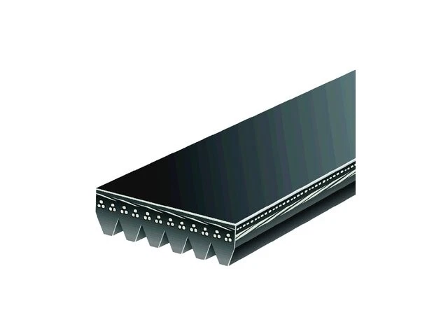 Supercharger Multi Rib Belt 43SXZH98 for Oldsmobile 88 LSS 1996 1997 1998 1999 - Изображение 1 из 1