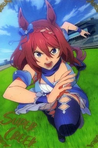Used Anime Trading Cards 24 Metallic Placard Super Creek - Picture 1 of 1