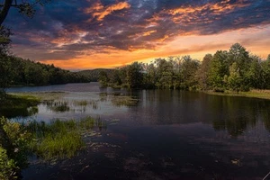 Canvas Art Vibrant Sunset Over Calm Waters Greenery Wall Picture Poster Print - Picture 1 of 22