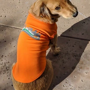 Posten 117 Laufhundeshirts passend für die meisten Rassen, Großhandel Wiederverkauf Tausch Treffen - Bild 1 von 15