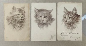 CAT CATS GATTO KATZE CAT CHAT-LOT 3 POSTCARDS-C69-182 - Picture 1 of 1
