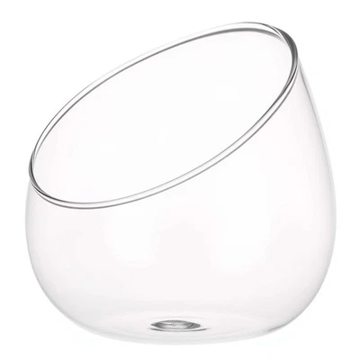  Dekoflasche Glas Sukkulenten Glasterrarium Terrariumglasbehälter Glasflaschen - Bild 1 von 4