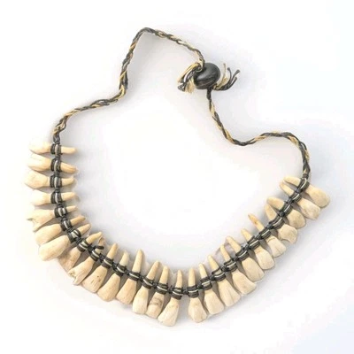 Camel Tooth Necklace - image 1 of 4