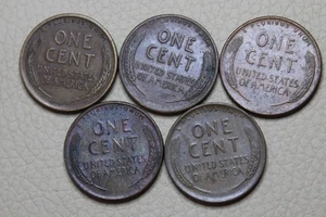 * USA WHEAT CENT'S X 5 GENERAL BUSINESS STRIKE'S BUT NICE CONDITION #NSV89 - Bild 1 von 6
