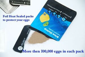 Fish food eggs for 500mL of water -1  pack - Pre-Measured